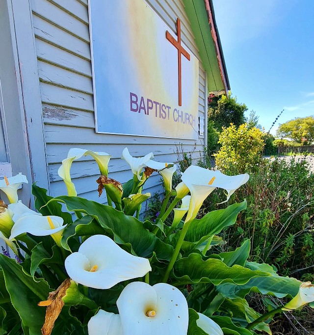 baptist church new zealand