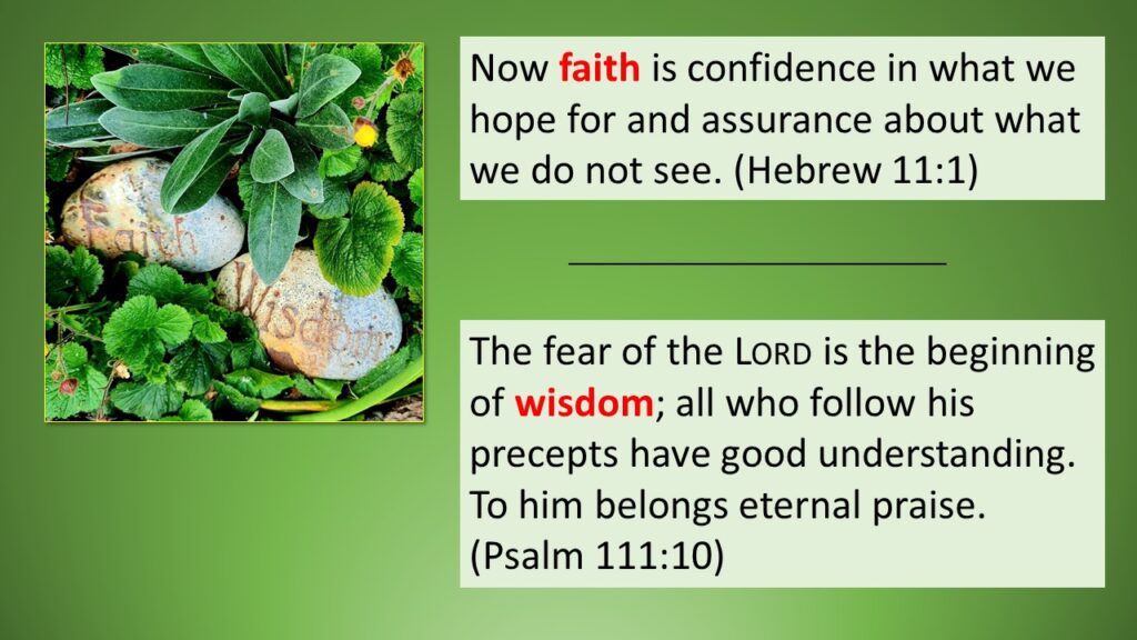 faith-wisdom discovery