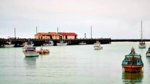 peaceful oamaru harbour