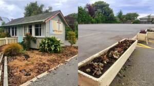 baptist church oamaru beautification