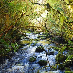 times of refreshing from the Lord at Oamaru Baptist